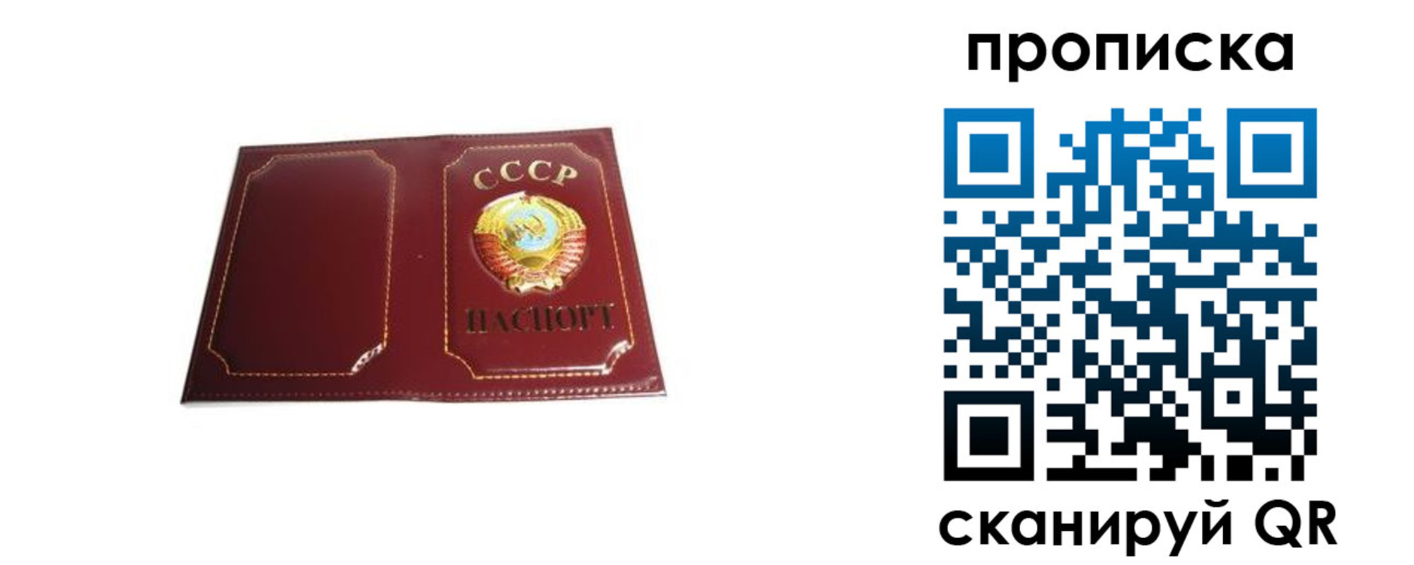 прописка гарантия в Павловском Посаде