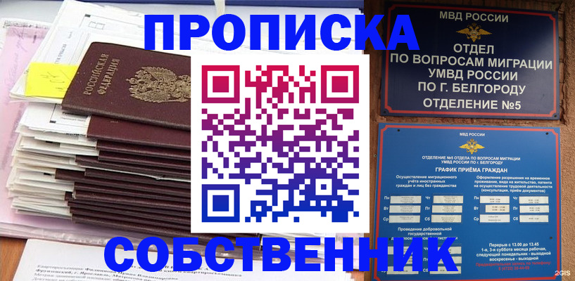 прописка законно в Павловском Посаде